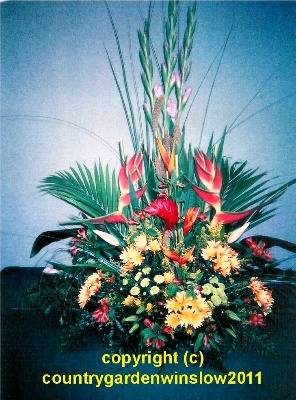 Rain Forest Arrangement F A 2